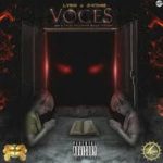J King Ft. Lyan El Del Palabreal - Voces MP3